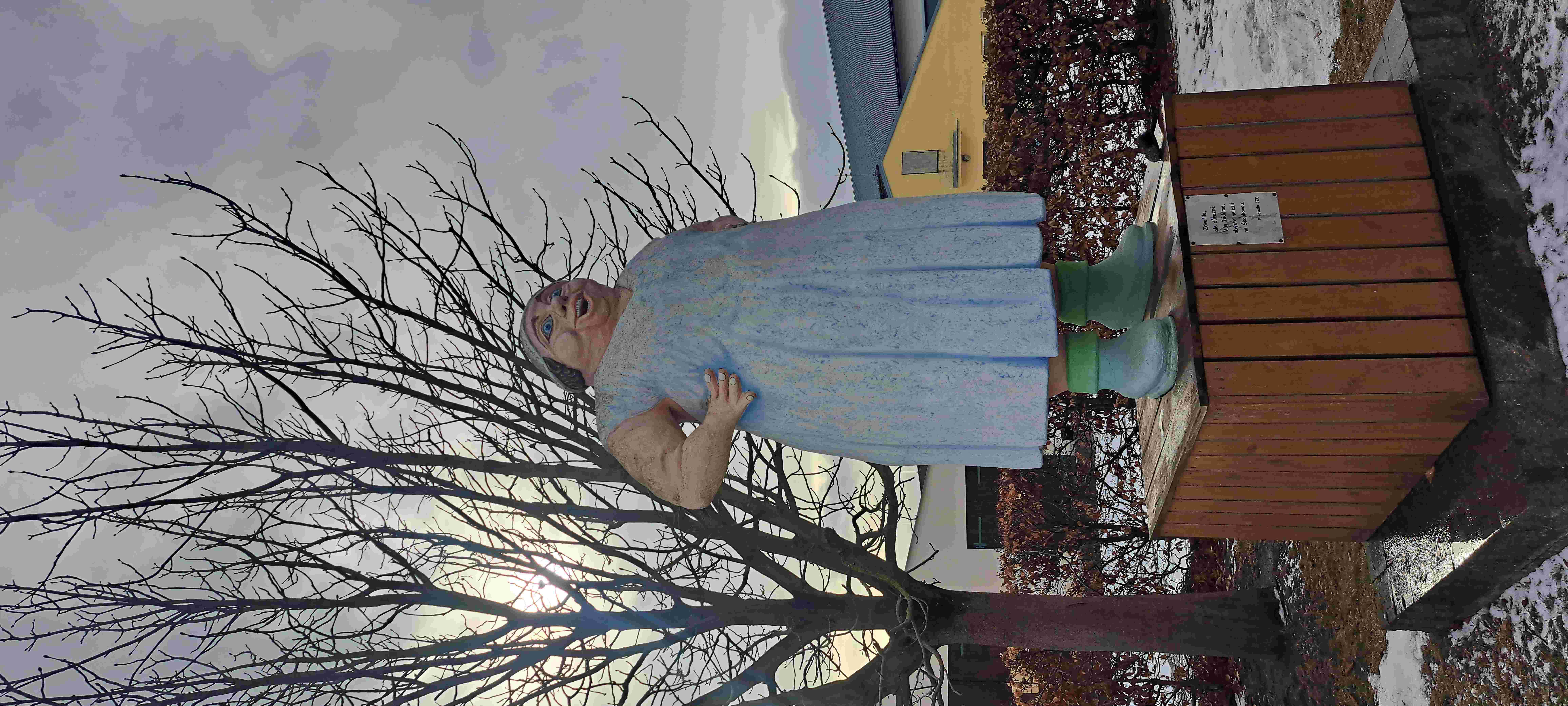 Fitness tréner (ka) wanted